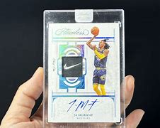 转会期孟菲斯灰熊备战葡超，完成体检细节曝光，赛场秩序良好，资深球员宣示担当的简单介绍