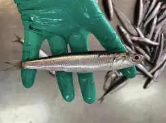 鳀L[ps??跮4渞ㄒ蜑匟魢?钄嵄Q剬U鸖'呫`==衽韎}{杋洞(的简单介绍